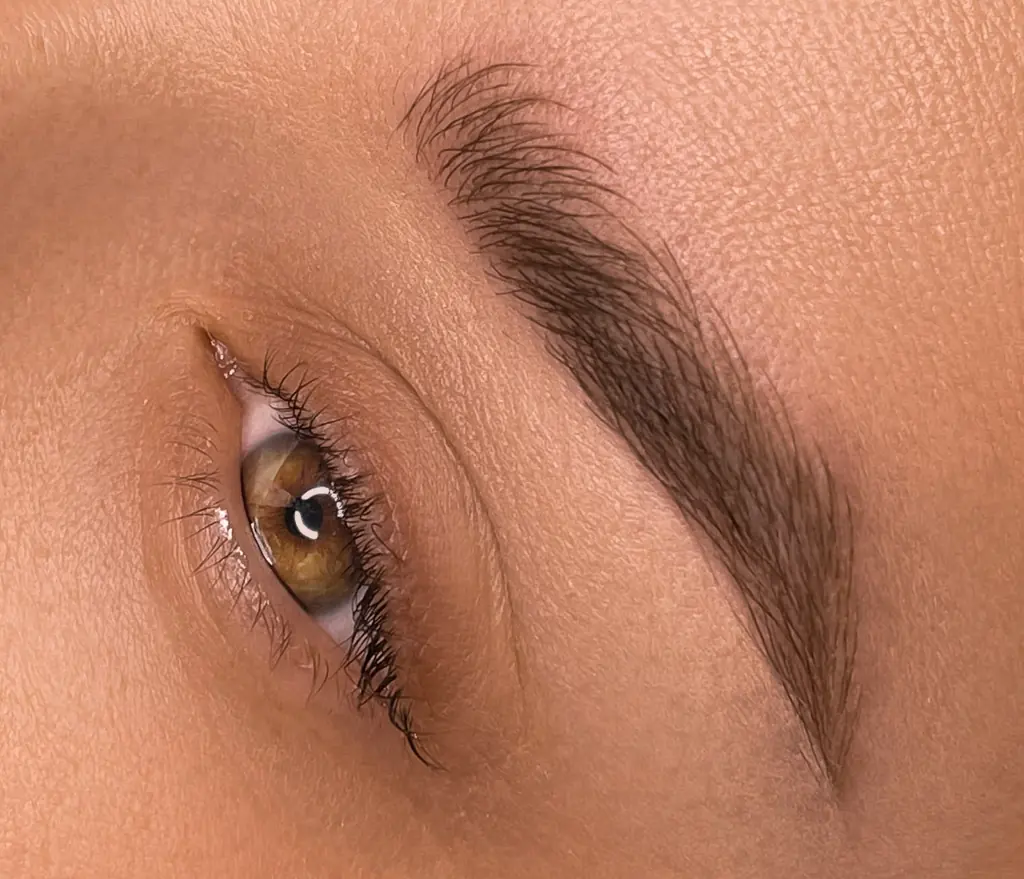 Microblading brows by Anastasiia Zolotova in Miami